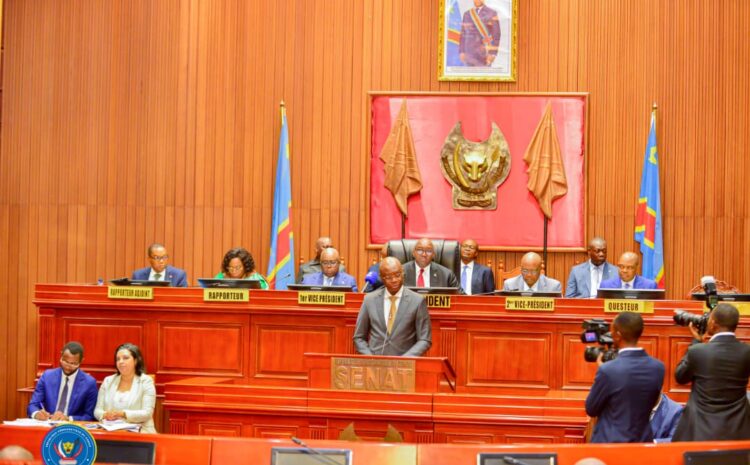  INVITE MARDI A LA PLENIERE DU SENAT: LE MINISTRE S. ROGER KAMBA CONFIRME LA REAPPARITION BRUSQUE DE LA MPOX AU KASAI